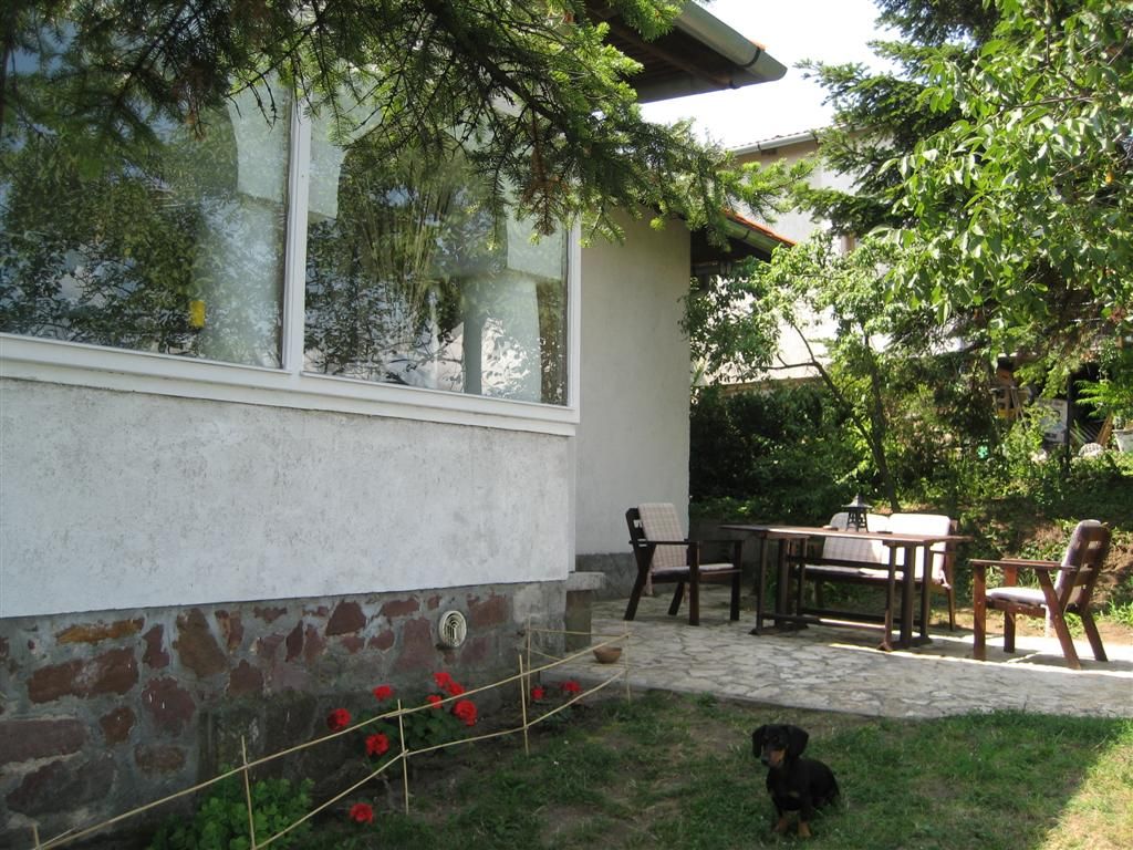 img_6221-large.jpg img_6221-large.jpg